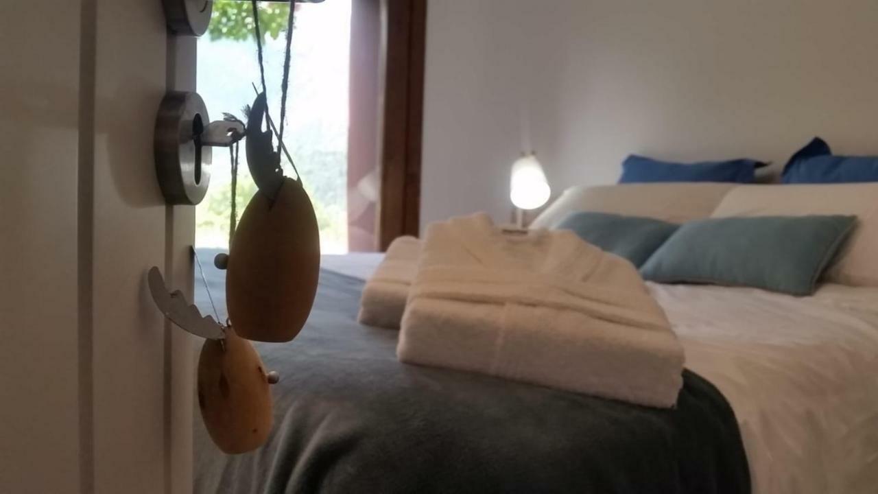 ホテルCal Barida Cava エクステリア 写真
